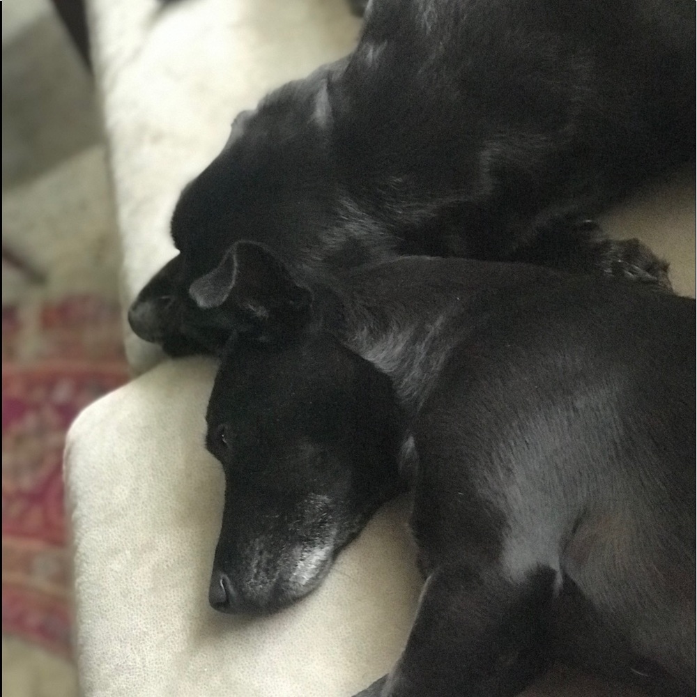 Meet your Posher, Elizabeth